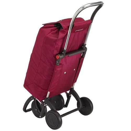 Carro plegable