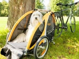 Remolques para bicicletas para perros
