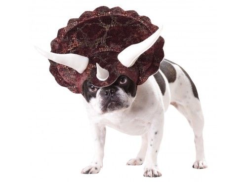 Disfraces para mascotas baratos