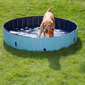 piscinas para perros baratas