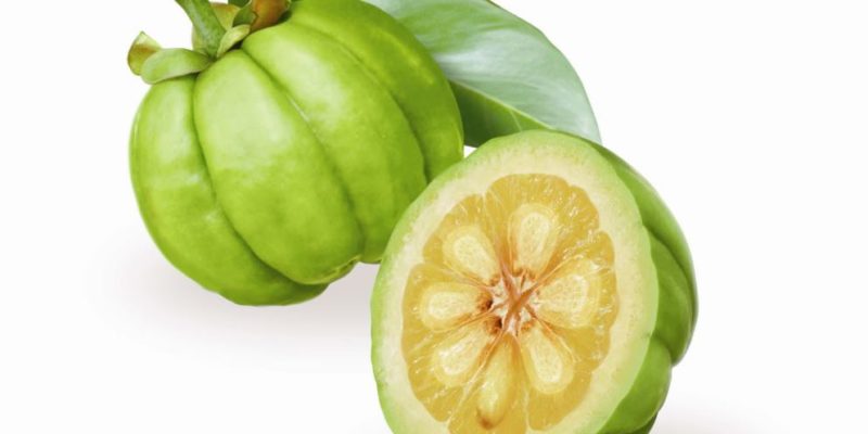 Donde comprar garcinia gambogia barata