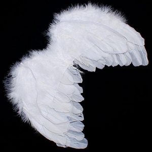 alas de ángel disfraz